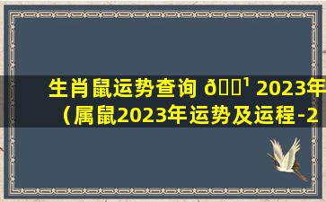 生肖鼠运势查询 🌹 2023年（属鼠2023年运势及运程-2022年属鼠人的全年每月运势）